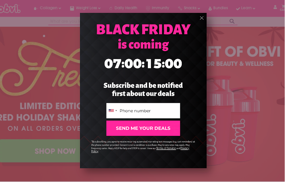 obvi case study 07 - How Obvi Boosted Their Black Friday Conversion Rates By 25%